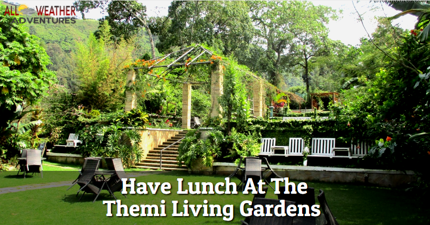 Lunch At The Themi Living Gardens